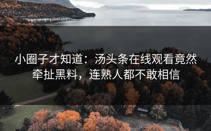 小圈子才知道：汤头条在线观看竟然牵扯黑料，连熟人都不敢相信