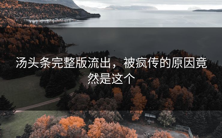 汤头条完整版流出，被疯传的原因竟然是这个