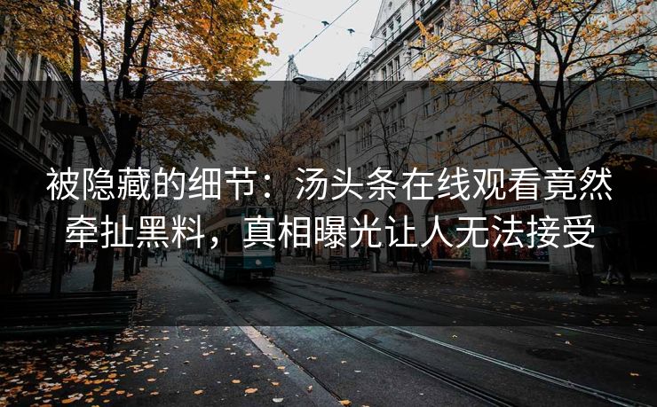 被隐藏的细节：汤头条在线观看竟然牵扯黑料，真相曝光让人无法接受