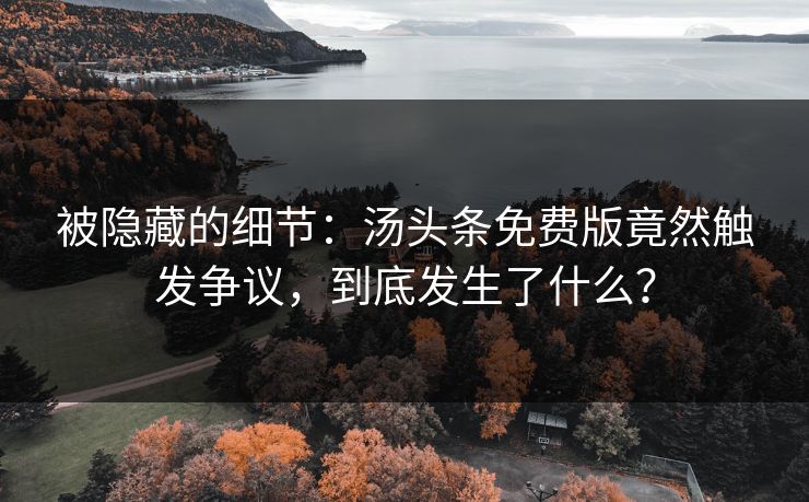 被隐藏的细节:汤头条免费版竟然触发争议,到底发生了什么?