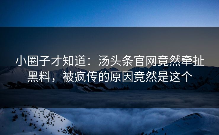 小圈子才知道：汤头条官网竟然牵扯黑料，被疯传的原因竟然是这个