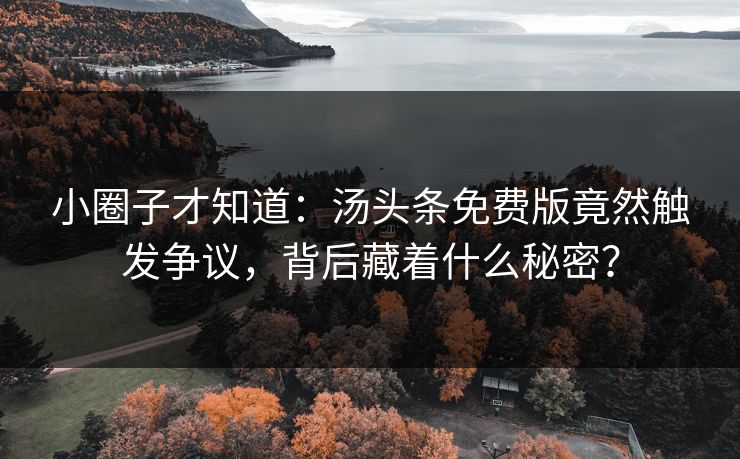 小圈子才知道：汤头条免费版竟然触发争议，背后藏着什么秘密？