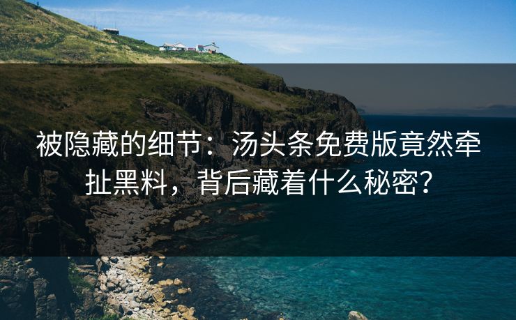 被隐藏的细节：汤头条免费版竟然牵扯黑料，背后藏着什么秘密？