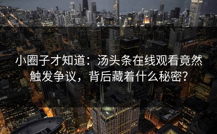 小圈子才知道：汤头条在线观看竟然触发争议，背后藏着什么秘密？
