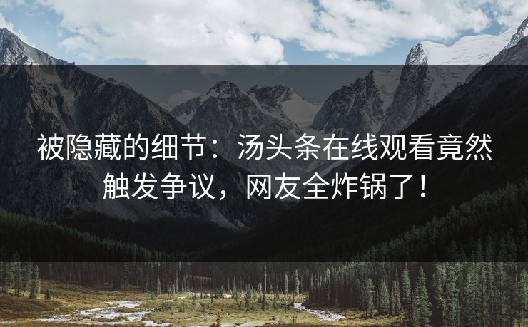 被隐藏的细节：汤头条在线观看竟然触发争议，网友全炸锅了！