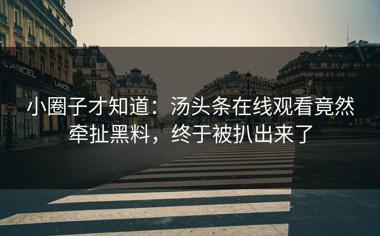 小圈子才知道：汤头条在线观看竟然牵扯黑料，终于被扒出来了