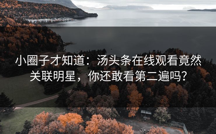 小圈子才知道：汤头条在线观看竟然关联明星，你还敢看第二遍吗？