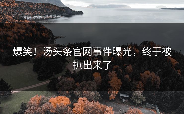 爆笑！汤头条官网事件曝光，终于被扒出来了