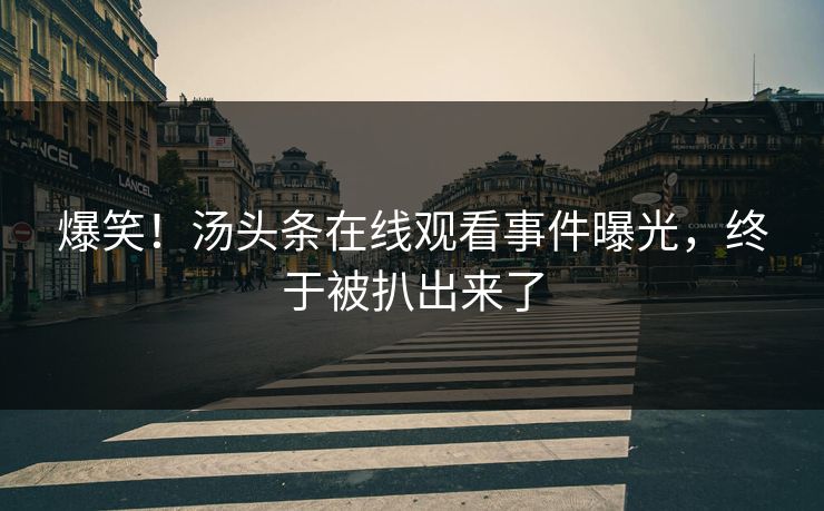 爆笑！汤头条在线观看事件曝光，终于被扒出来了