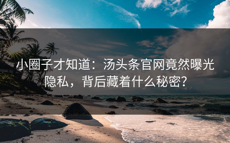 小圈子才知道：汤头条官网竟然曝光隐私，背后藏着什么秘密？