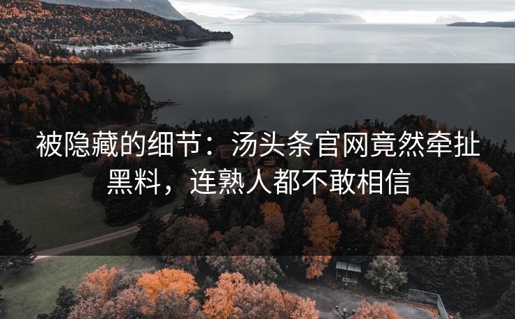 被隐藏的细节：汤头条官网竟然牵扯黑料，连熟人都不敢相信