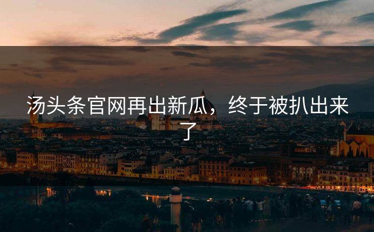 汤头条官网再出新瓜，终于被扒出来了