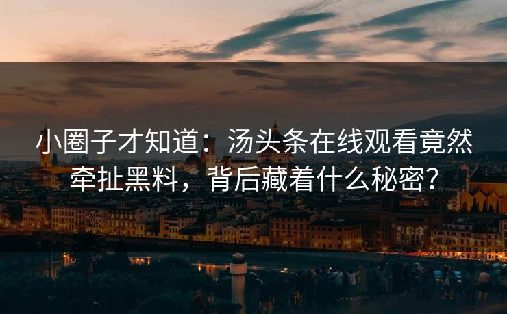 小圈子才知道：汤头条在线观看竟然牵扯黑料，背后藏着什么秘密？