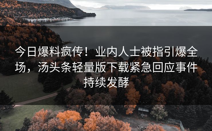 今日爆料疯传!业内人士被指引爆全场,汤头条轻量版下载紧急回应事件持续发酵