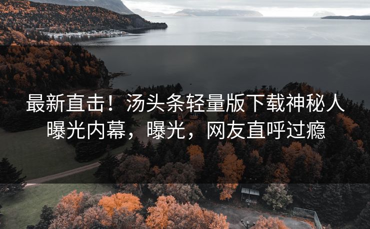 最新直击！汤头条轻量版下载神秘人曝光内幕，曝光，网友直呼过瘾