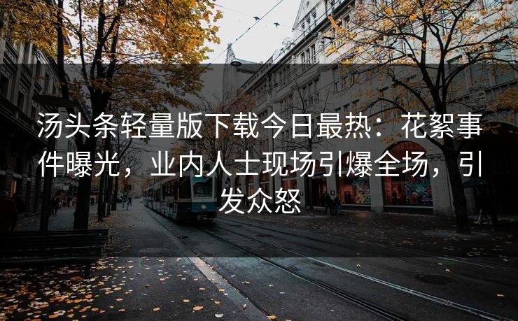 汤头条轻量版下载今日最热：花絮事件曝光，业内人士现场引爆全场，引发众怒