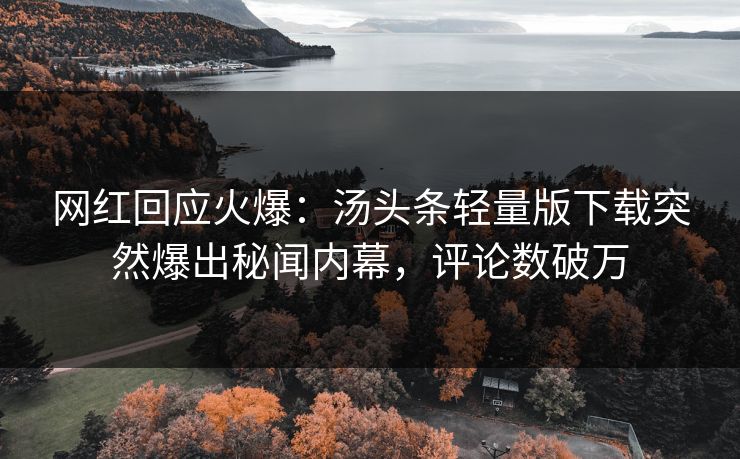 网红回应火爆：汤头条轻量版下载突然爆出秘闻内幕，评论数破万