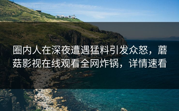 圈内人在深夜遭遇猛料引发众怒，蘑菇影视在线观看全网炸锅，详情速看