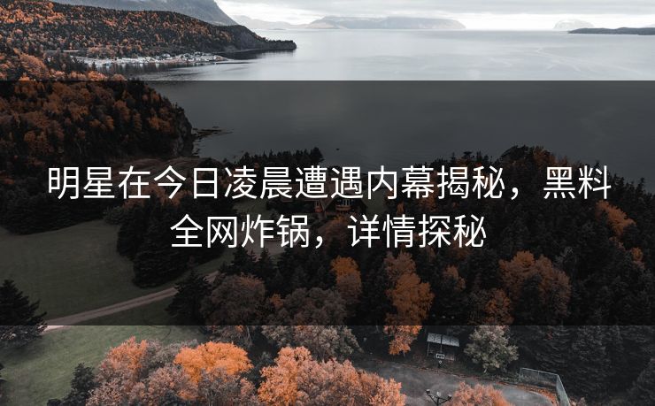 明星在今日凌晨遭遇内幕揭秘，黑料全网炸锅，详情探秘