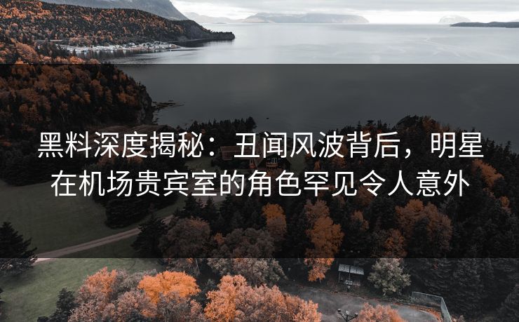 黑料深度揭秘：丑闻风波背后，明星在机场贵宾室的角色罕见令人意外
