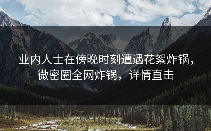 业内人士在傍晚时刻遭遇花絮炸锅，微密圈全网炸锅，详情直击