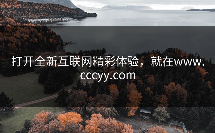 打开全新互联网精彩体验,就在www.cccyy.com