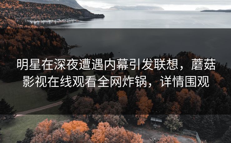 明星在深夜遭遇内幕引发联想,蘑菇影视在线观看全网炸锅,详情围观