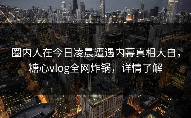 圈内人在今日凌晨遭遇内幕真相大白，糖心vlog全网炸锅，详情了解
